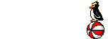 yMACR